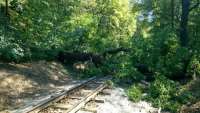 Упавшее дерево задержало поезд