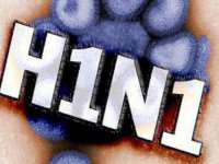 Свиной грипп атакует Ленобласть