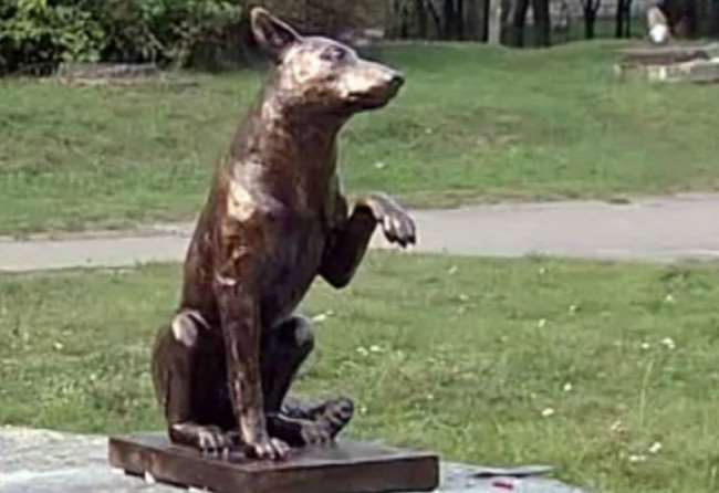 Памятник бездомному псу Юрику в Новой Ладоге