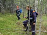 Компания грибников с ребенком заблудилась в лесу Волховского района