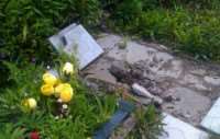 На кладбище в Волхове объявились вандалы