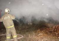 Ликвидация открытого горения в Волховском районе