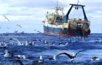 Объявлены предостережения руководителям рыбодобывающих организаций
