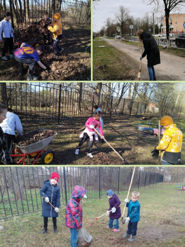 Учителя и школьники расчистили территорию в Волхове