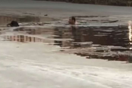 Неравнодушный мужчина спас собаку из канала в Новой Ладоге