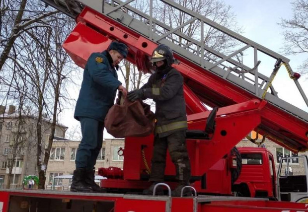 Попавшую в беду ворону спасли пожарные