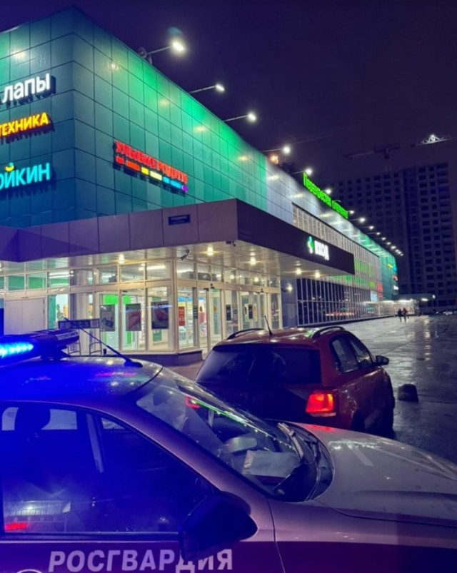 Угнанную в Ленобласти иномарку нашли у торгового центра в Петербурге