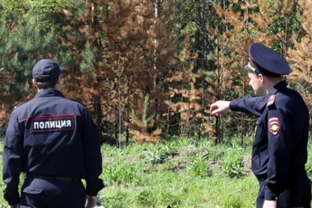 Тело 9-летней девочки найдено в лесу