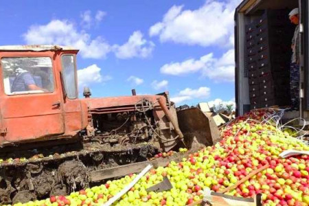 624 кг яблок и капусты уничтожено силами Россельхознадзора