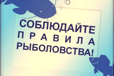 Инспекторы Росрыболовства отчитались о работе за неделю