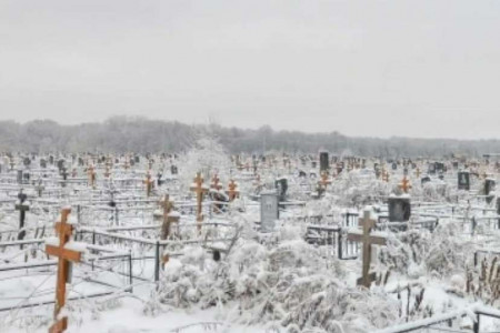 Администрацию Старой Ладоги призвали навести порядок на кладбище