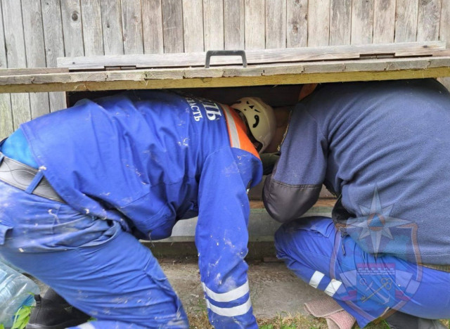 Под Волховом спасатели вытаскивали мужчину из подвала дома