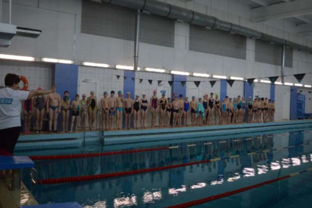 Районные соревнования по плаванию среди школьников
