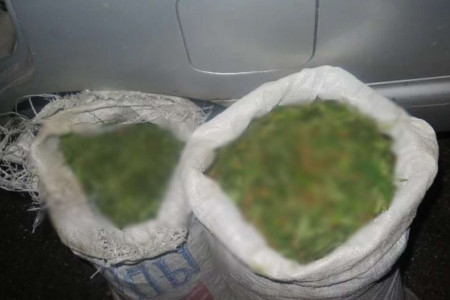 174 килограмма растительных наркотиков изъяли у водителя автомобиля
