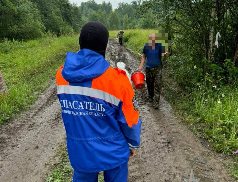 Мужчинам, заблудившимся в лесу потребовалась помощь спасателей