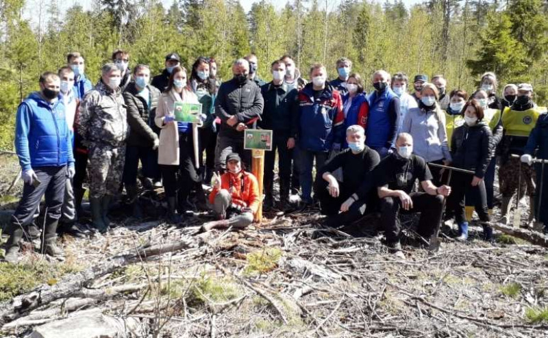 Всероссийский день посадки леса