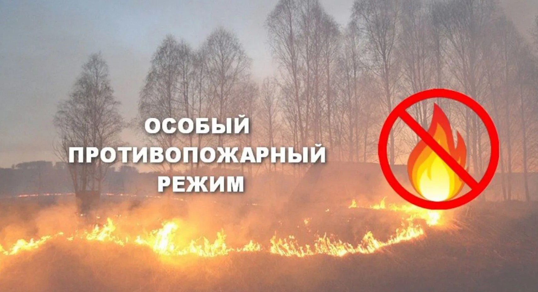 Особый противопожарный режим в Волховском районе