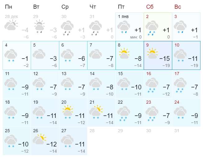 Прогноз погоды на январь 2021 в Волховском районе