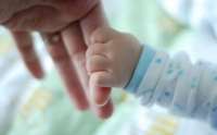 В Волховском районе смертность превышает рождаемость