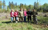 Администрация Сясьстроя приняла участие в посадках деревьев