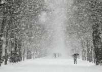 Морозы возвращаются в Ленобласть: прогноз на 17 января