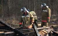 На пожаре в Пупышево погиб человек