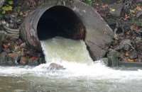 «Волховский Водоканал» уличили в сбросе сточных вод