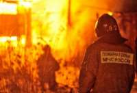 Количество пожаров в Ленобласти уменьшилось на 9%