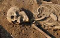 В Старой Ладоге откопали скелет