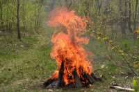 В Ленобласти за неделю зафиксировано 19 природных пожаров