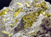В Ленобласти геологами найдены месторождения золота и серебра