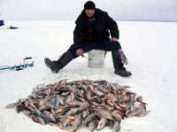 Вниманию любителей зимней рыбалки